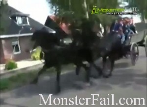 horse goes crazy and destroys everything Horse does not care
